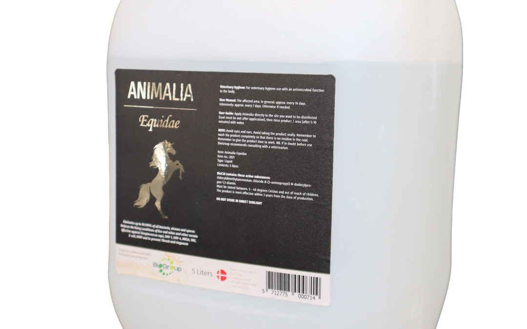 Animalia Equidae 5 L